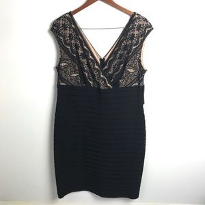 Adrianna Papell Woman lace banded dress, sz 16W